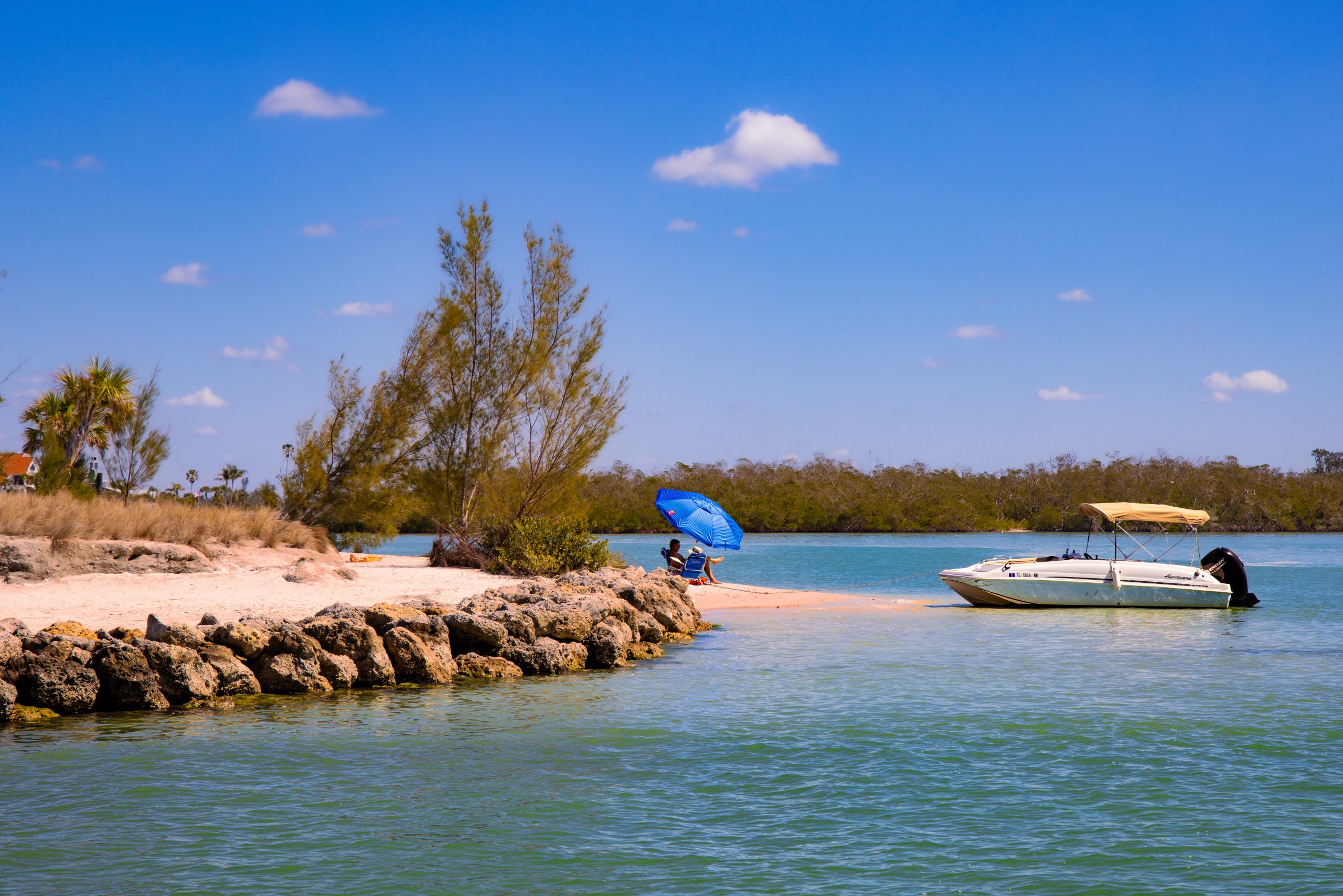 Wild Wave Watersports Pontoon Boat